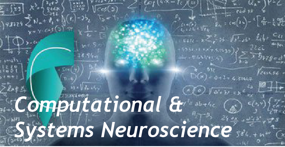 Computational And Systems Neuroscience